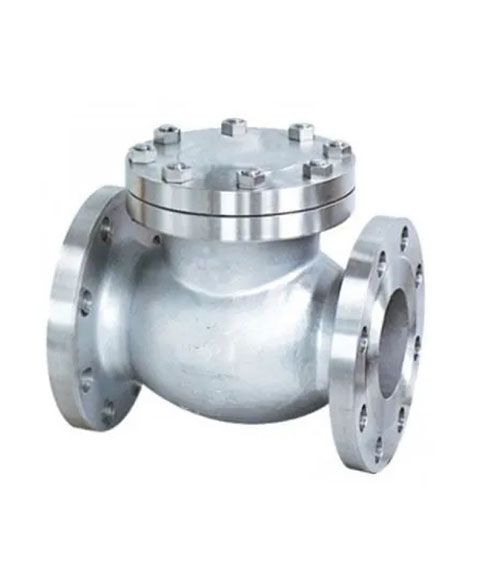 Check Valves ASME - 300