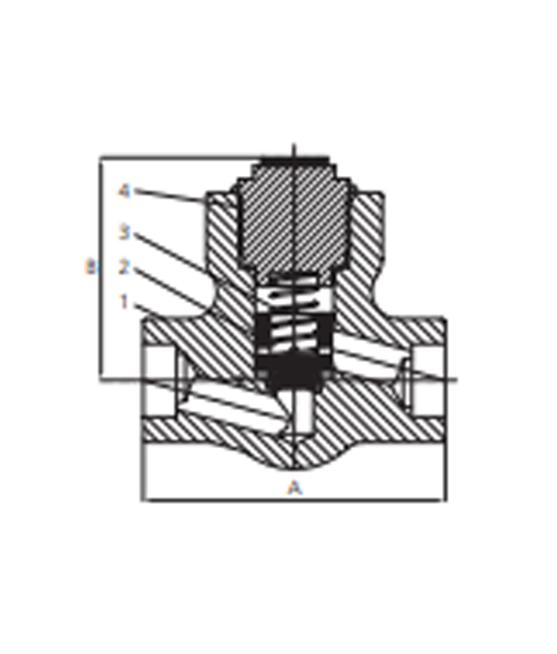 Elite Forged Steel Check Valve 2