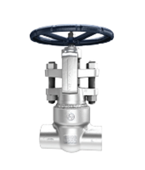 Gate Valves ASME - 300