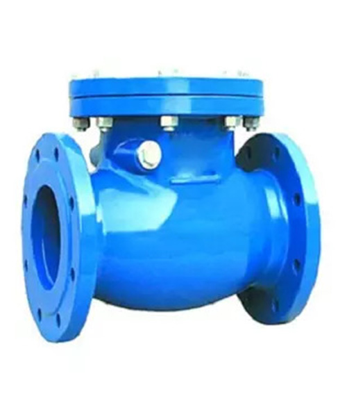 Elite Nrv Cast Steel Check Valve Cl 300