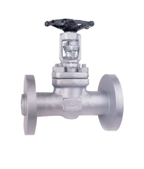 Forged Steel Globe valve