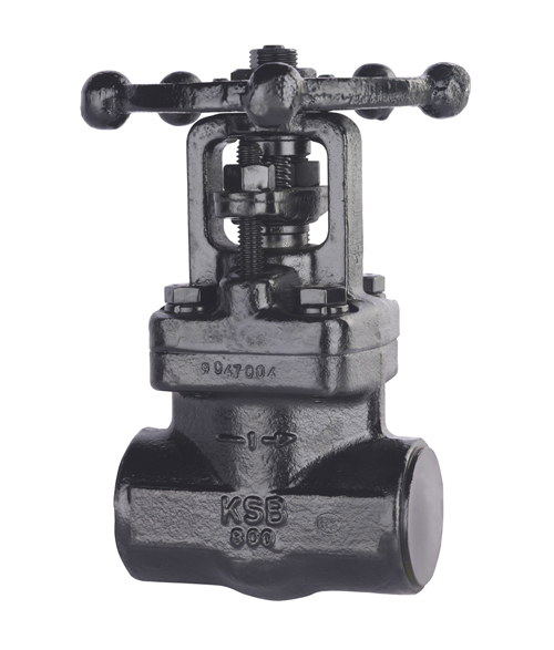 KSB Forged Valve 150-250
