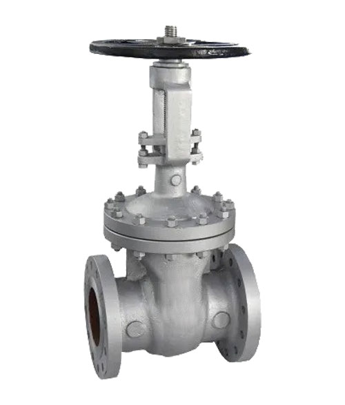 Gate Valves ASME - 300