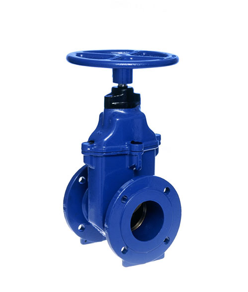 Gate Valves ASME - 600