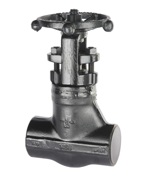 Dual Plate Check Valve