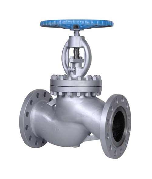 Globe Valves ASME - 300