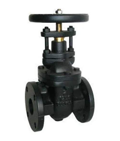 Leader Cast Iron Gate Valve 5 125