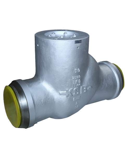 KSB NRV Valve 900-3600